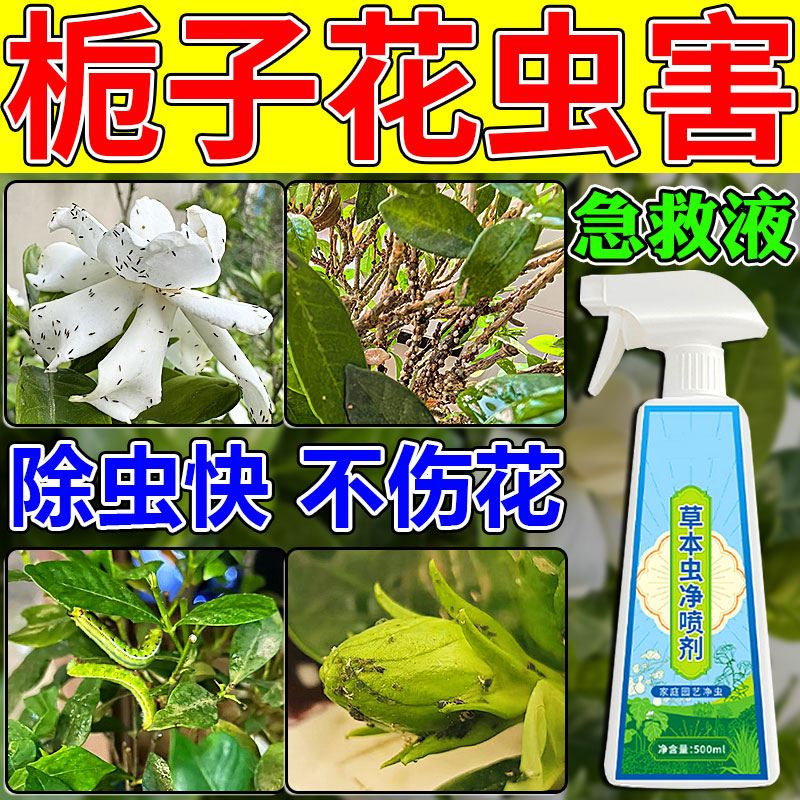 栀子花杀虫剂养花专用除虫药花盆花园植物防虫颗粒喷雾蚜虫一滴净