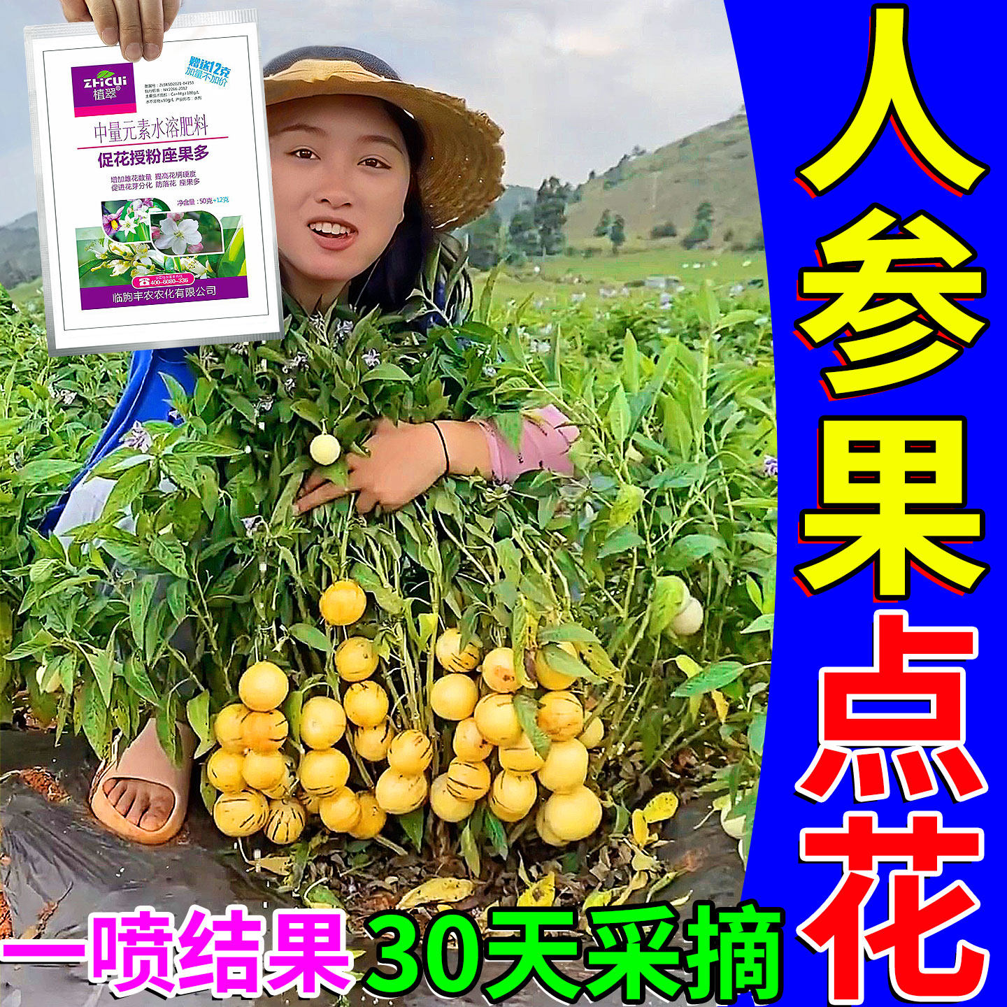 人参果点花药保花保果专用坐果灵叶面肥料果树催花生根养根营养剂,鲜花速递/花卉仿真/绿植园艺,家庭园艺肥料,淘宝优惠券,粉丝福利购,淘宝优惠卷