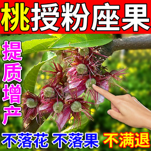 桃树保花保果药果树专用防落裂肥料果实膨大甜蜜素促花催花座果灵