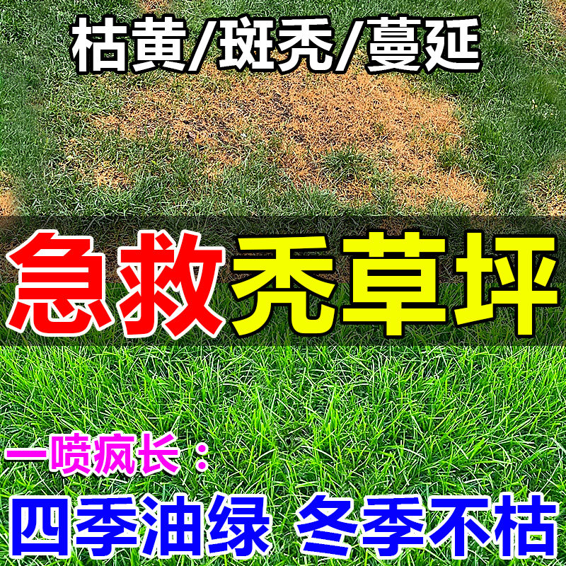 草坪增绿剂黄叶死苗一喷绿营养液褐斑枯萎病烂根急救生根专用肥料