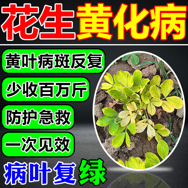 花生杀菌药一次见效全年无病