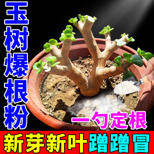 玉树生根粉多灵菌强力促活爆根壮苗剂扦插嫁接专用植物药水复活液