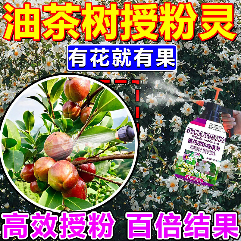 油茶保花保果防落果素摧花授粉坐果精果树专用一包搞定叶面秋肥