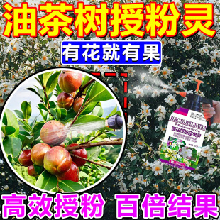 油茶保花保果药防落果素摧花授粉坐果精果树专用一包搞定叶面秋肥