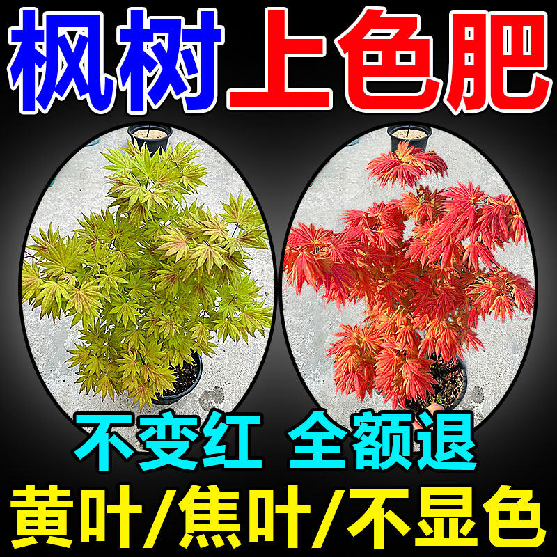 枫树营养液观叶植物专用肥红枫增红素黄叶焦枯病一喷绿氮肥水溶肥