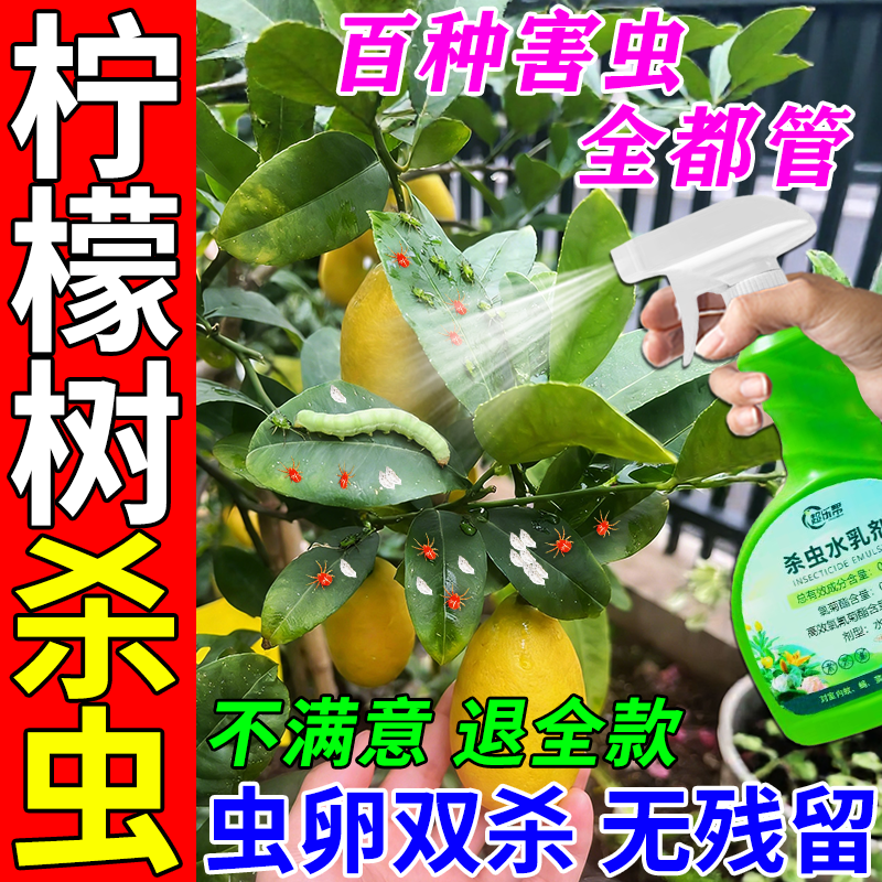 柠檬树专用杀虫剂香水柠檬植物盆栽蚧壳蚜虫红蜘蛛专用强效杀虫剂,鲜花速递/花卉仿真/绿植园艺,家庭园艺肥料,淘宝优惠券,粉丝福利购,淘宝优惠卷
