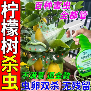 柠檬树专用杀虫剂香水柠檬植物盆栽蚧壳蚜虫红蜘蛛专用强效杀虫剂