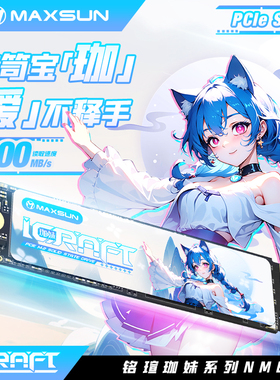 铭瑄固态硬盘 瑷珈NVME 256G/512G M.2高速通用PCIE3.0国风二次元