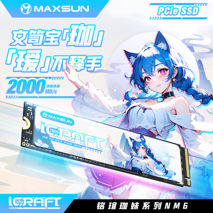 铭瑄固态硬盘 瑷珈NVME 256G/512G M.2高速通用PCIE3.0国风二次元