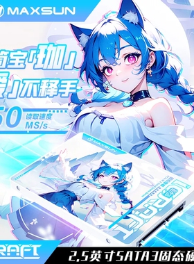 铭瑄SATA固态硬盘 X8 128G/256G/512G 台式机高速读写国风二次元