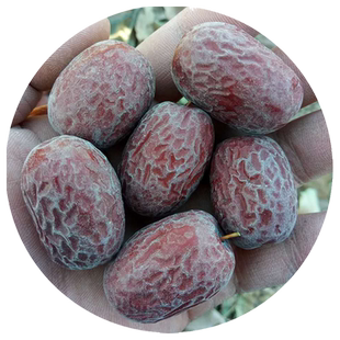 【2025新枣】新疆若羌优质灰枣未清洗自然吊干红枣无添加孕妇零食