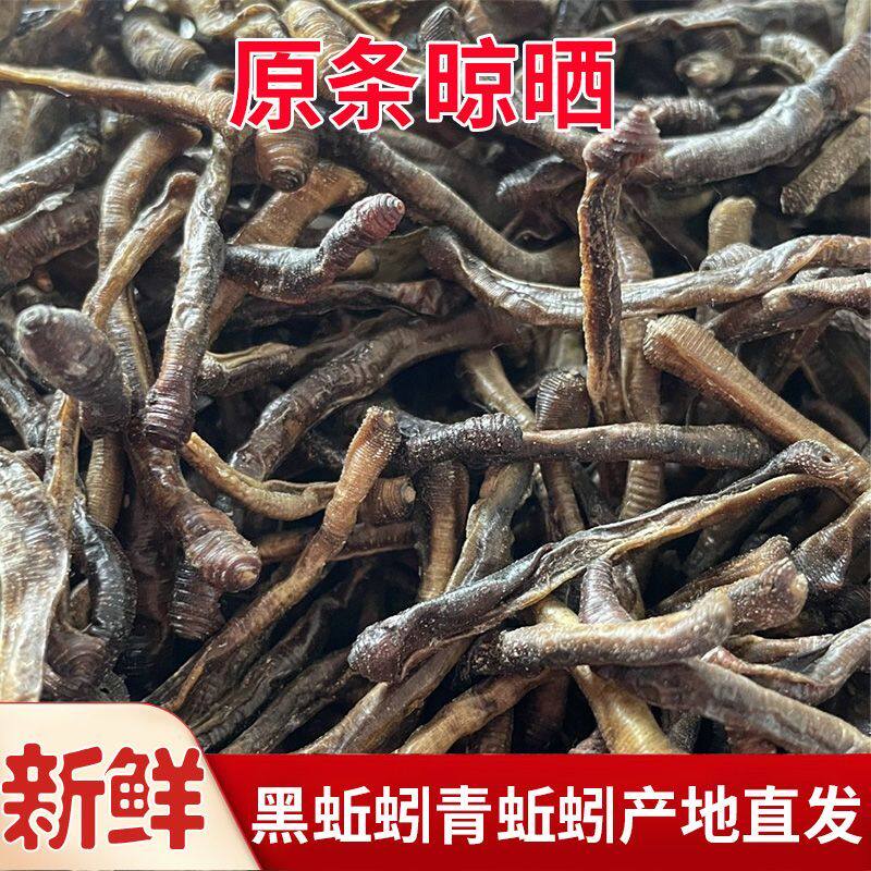 地龙野生青蚯蚓干地龙饵料黄鳝捕黄鳝黑蚯蚓诱饵地龙蚯蚓干蚯蚓