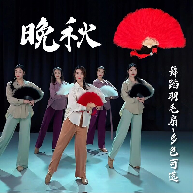 扇子舞蹈扇易开合羽毛扇子晚秋同款跳舞道具新中式古典舞演出专用