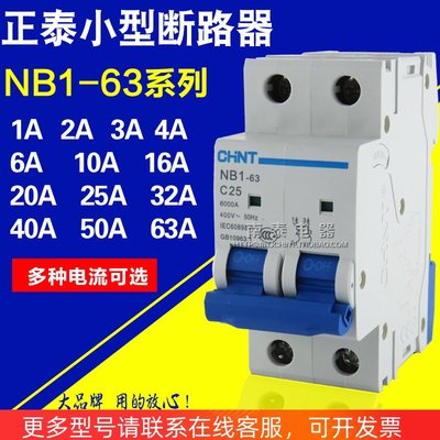 正品 正泰断路器 NB1-63 2P C1-63A 6A 10A 4A16A20A25A32A40A63A