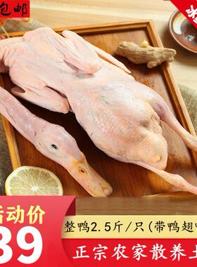 农村整只土鸭子顺丰包邮