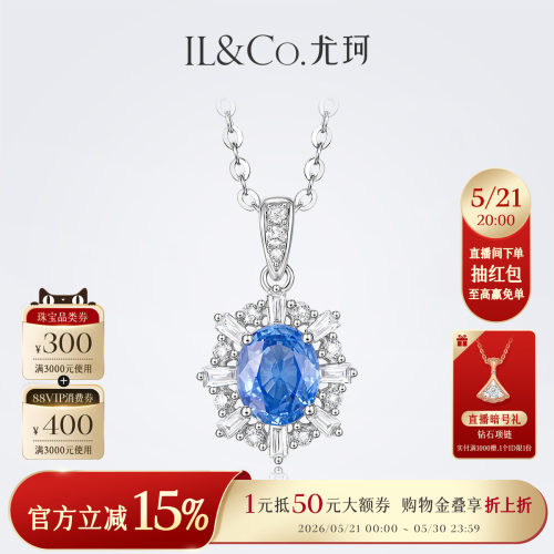 精致太阳花，魅力开放