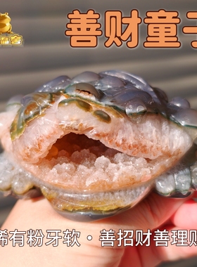 灵蟾晶舍｜善财童子｜收藏级天然玛瑙粉牙软金蟾摆件招财聚财168