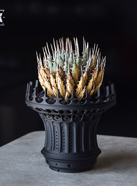 RYK潮流块根花盆龙舌兰植物海芋ins风异形黑色多肉花盆透气呼吸盆