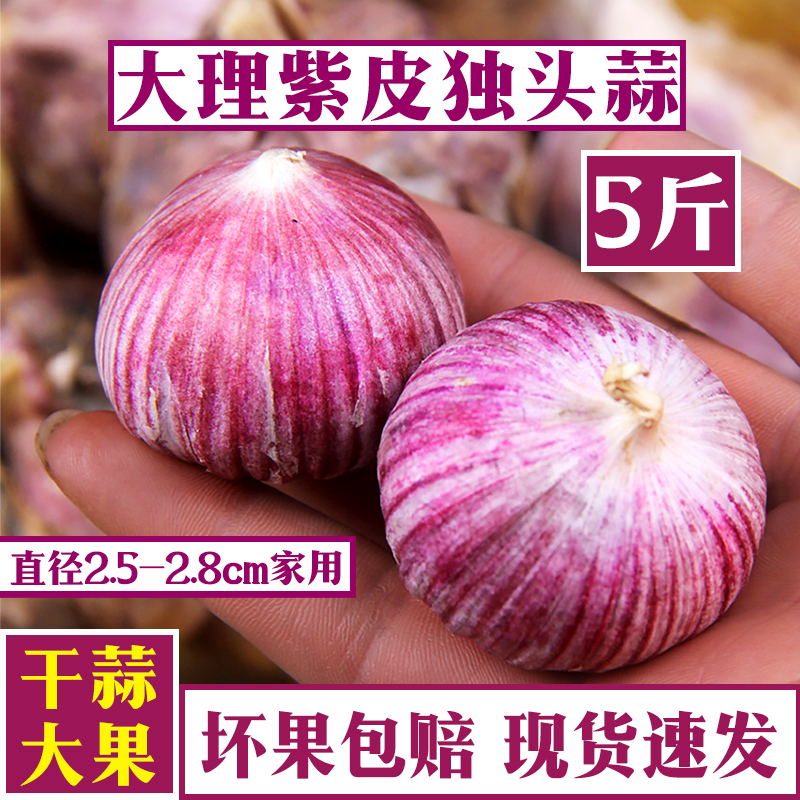 云南5斤紫皮蒜2.5-2.8cm家用中果