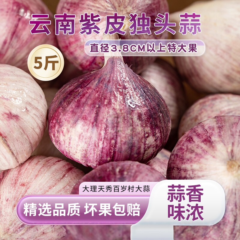 2026云南独头蒜干蒜独蒜农家种植紫皮大蒜圆头大蒜当季蔬菜批发
