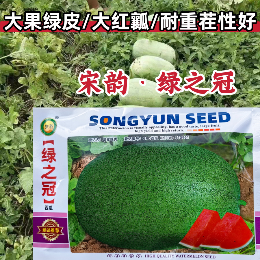 绿之冠绿皮西瓜种子大果大红瓤耐重茬青皮绿皮沙瓤甜脆西瓜种子籽