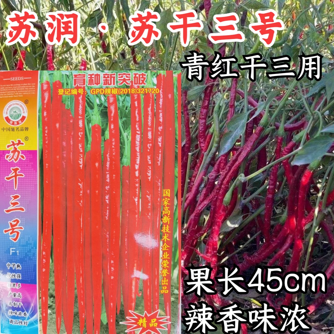 苏润苏干三号红线椒特长红干鲜
