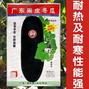 广东黑皮大冬瓜种子种籽苗特大菜冬瓜孑秧苗四季庭院阳台蔬菜种子