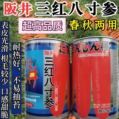 特级三红甜脆胡萝卜种子