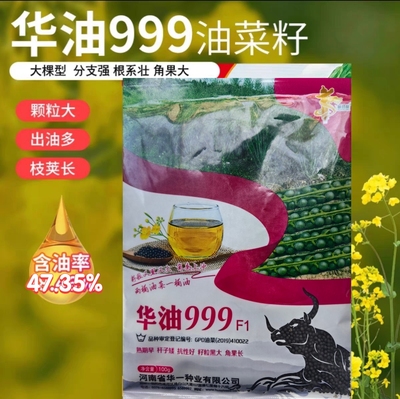 华油999油菜种子早熟高出油抗倒钢杆大籽粒菜籽秋冬季油菜花种籽