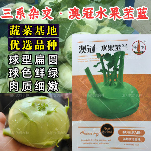 澳冠水果苤兰种子杂交早熟抗病春秋天津青苤蓝苤兰扁圆蔬菜种子籽