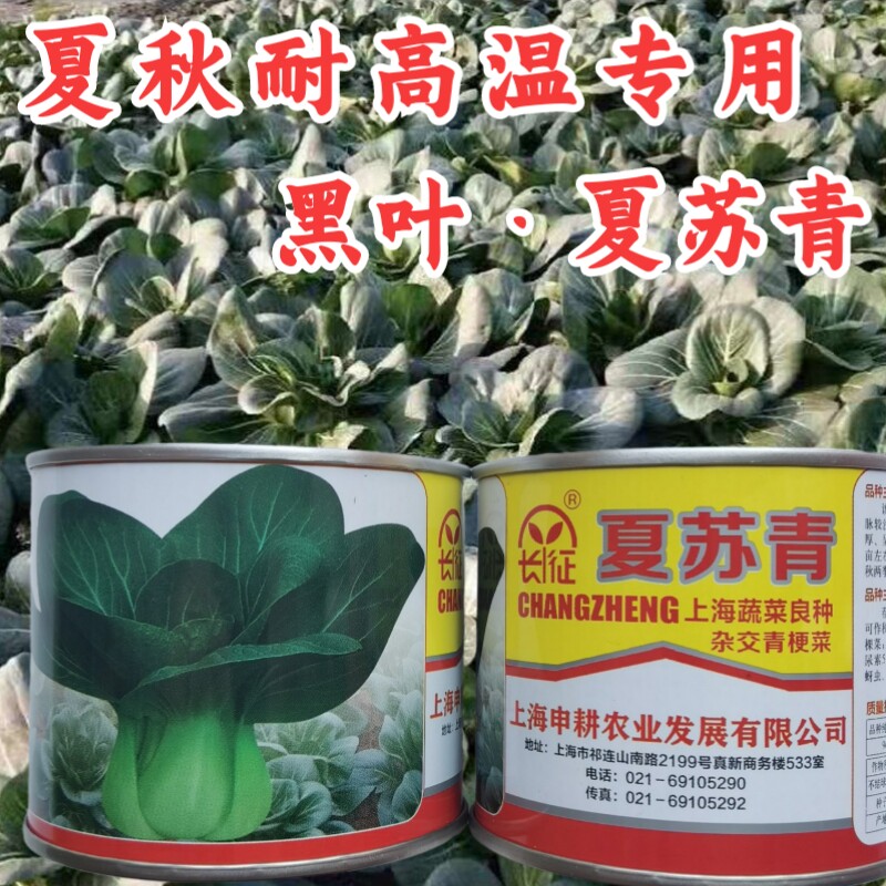 长征夏苏青杂交苏州青青菜种籽黑叶耐热四季播墨绿上海青油菜种子