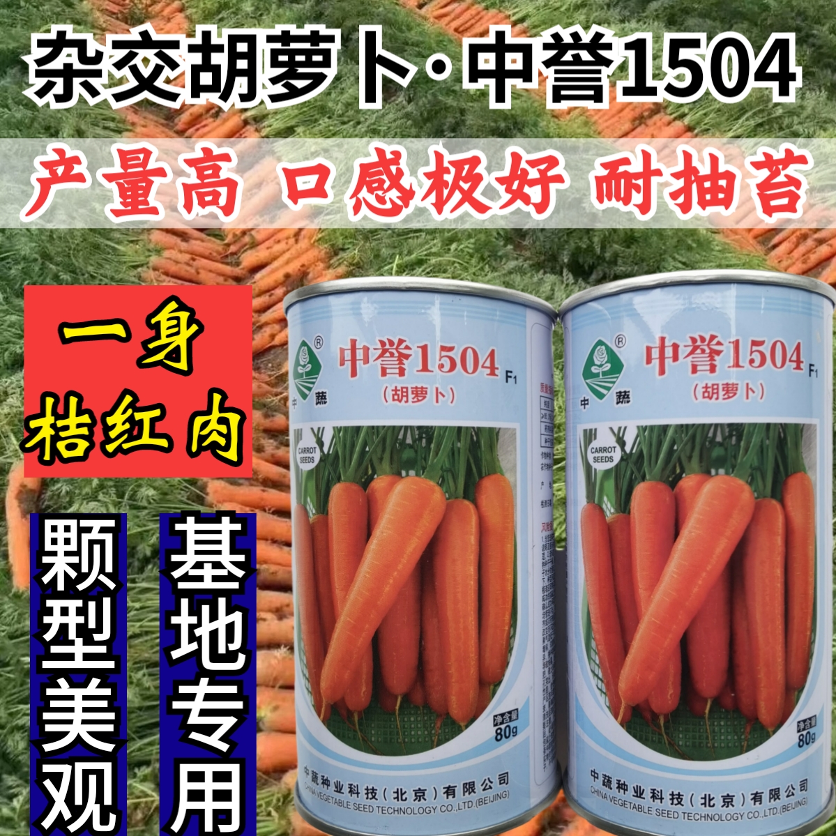 杂交耐热胡萝卜种子耐抽苔中蔬
