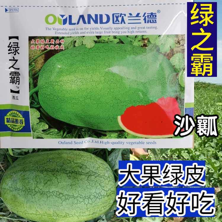 高糖沙瓤西瓜种子欧兰德
