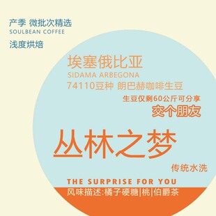 埃塞丛林之梦 74110水洗手冲精品新鲜烘焙咖啡豆100g