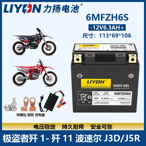 力扬12V摩托车电瓶通用