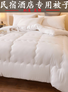 宾馆酒店专用被子春秋被白色夏天的薄被冬被200x230加厚单人被芯