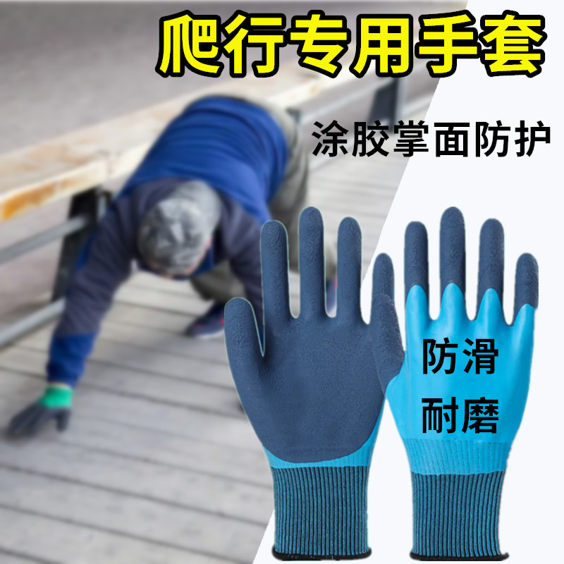 地面上爬行专用手套鳄鱼公图片