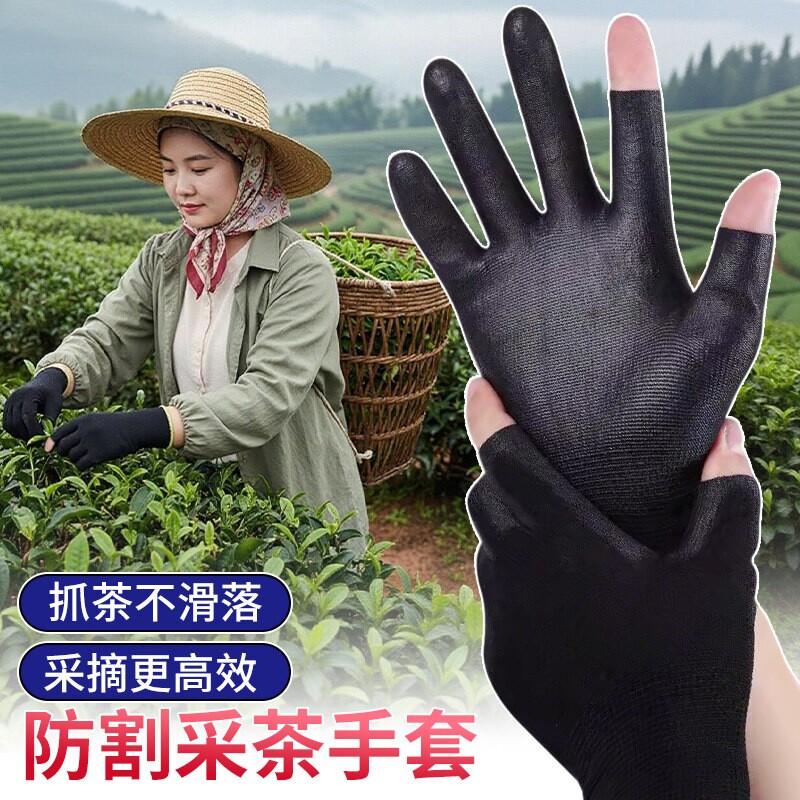 摘茶叶手套男薄款快递打包干活采茶露两指工作触屏女士专用小码S