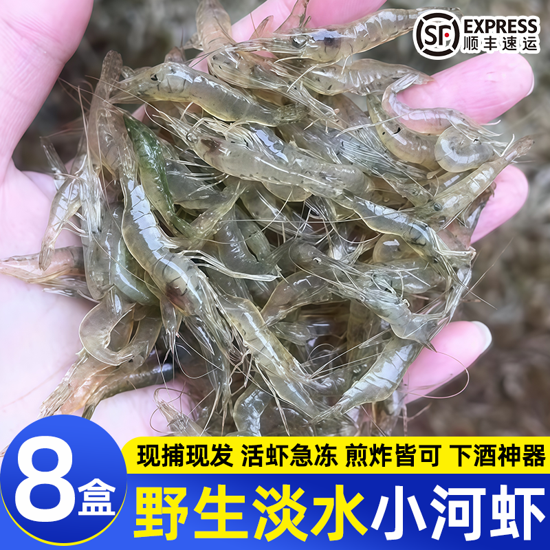 新鲜小河虾鲜活冷冻淡水虾当天捕捞青虾水产急冻草虾小虾非基围虾