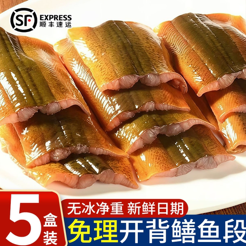 新鲜鳝鱼段冷冻开背鳝鱼段去头去内脏现杀鳝鱼段原生态鳝鱼批发