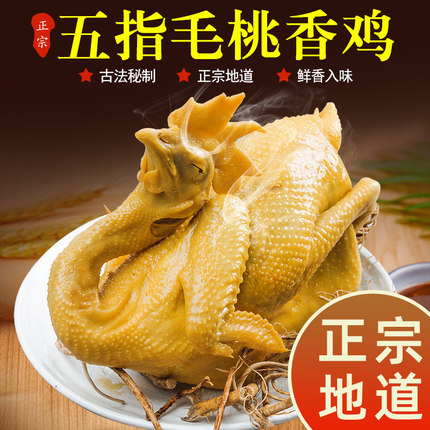 绝小嘴五指毛桃鸡河源特产广东客家古法盐焗鸡手撕窑鸡香辣烤鸡