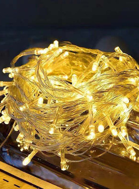 圣诞节装饰LED彩灯串10米带尾插婚庆节庆圣诞树配饰直播房间布置