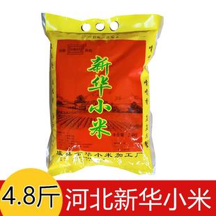 河北特产邢台威县新华小米 小米粥 小黄米2.4KG4.8斤新米食品包邮