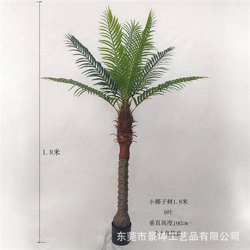 仿真小椰子树仿真美丽针葵树小棕榈树室内外绿植盆栽落地造景装饰