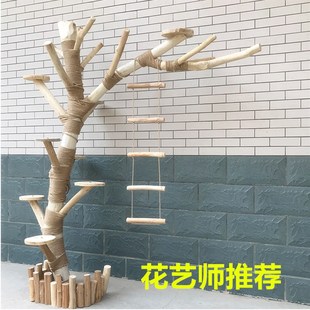 精品猫爬架枯树干实木树枝树v杈造型树服装店橱窗室内装饰假树造