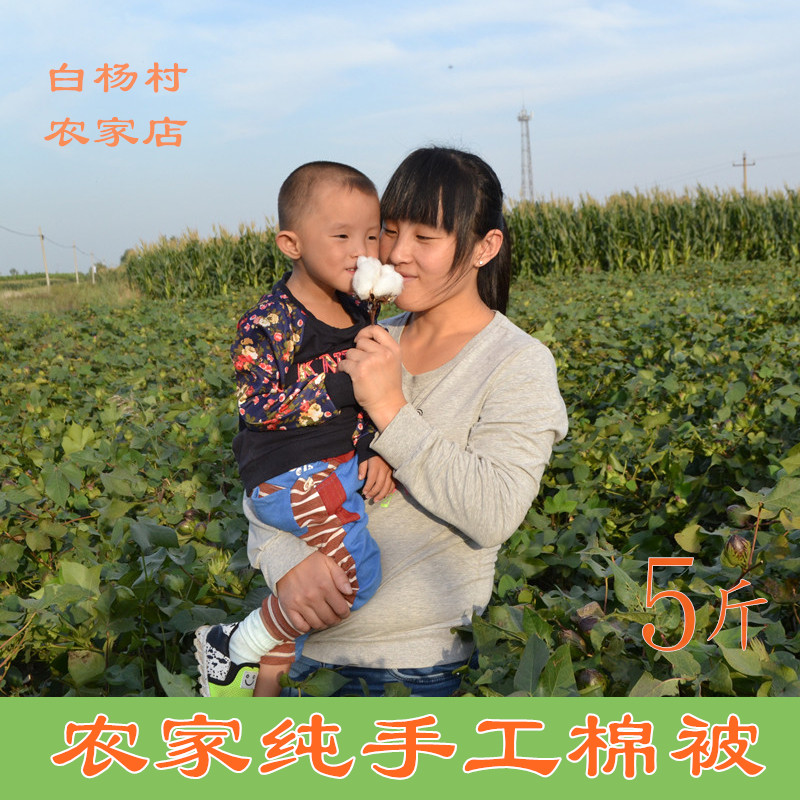 山东手工5斤天然新棉花纯棉被子双单人学生冬被春秋被芯褥子床垫