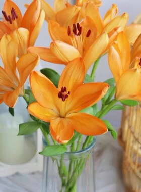 橙色梦想多头亚百合10支水养插瓶云南直发