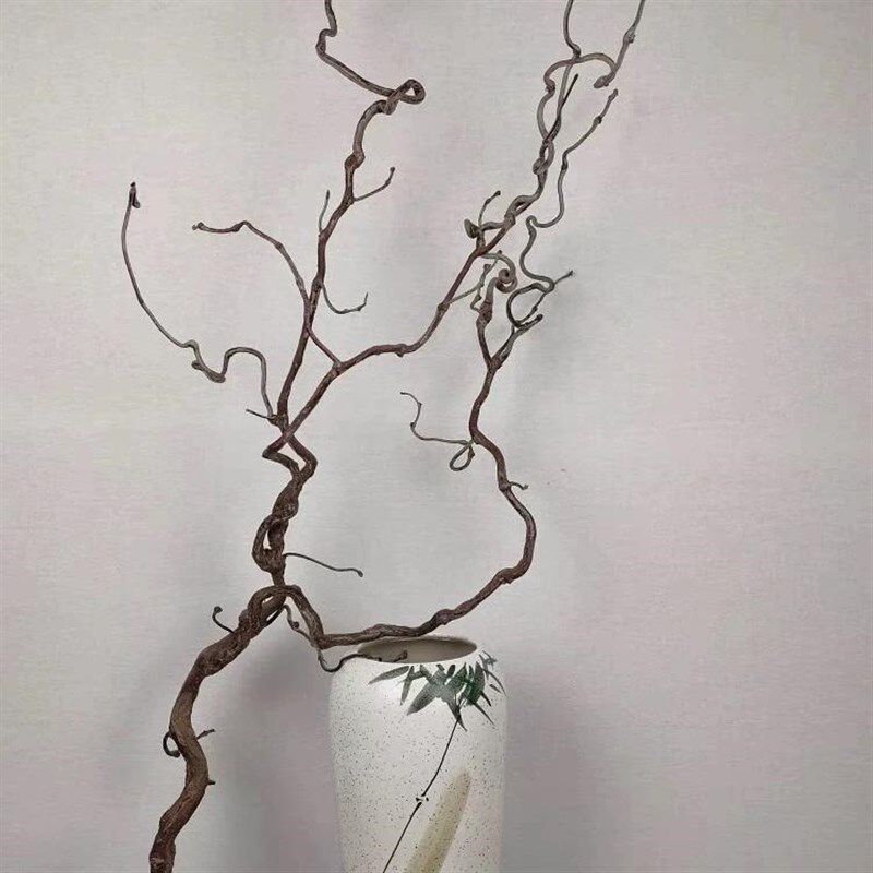 天然龙枣树干枝原木家居r摆件装饰龙爪插花禅意干花艺术风侘寂复