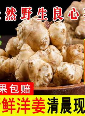 新鲜洋姜野生鬼子姜不辣菊芋现挖农家蔬菜酱腌泡番菜种子姜胰岛果