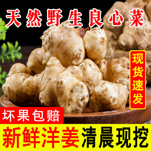 【新鲜洋姜畅销榜】TOP商家